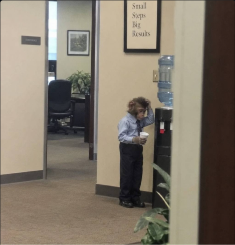 A little person stands in an office hallway next to a water cooler, holding a coffee cup and appearing frustrated while scratching their head. A motivational sign on the wall reads 'Small Steps Big Results'.