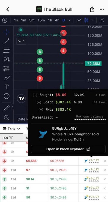 The image shows a trading chart for "The Black Bull" ($Ansem) with a wallet transaction summary displaying an $8 entry that turned into a $382.4K profit (61 transactions, 6.8M tokens sold), alongside the $URyNIU...r9IY whale wallet holding the token for 11 days and 5 hours. This visualizes the post's claim of an $8 investment yielding $382K in profit on $Ansem, supporting the caller's narrative of significant returns on the memecoin trade.