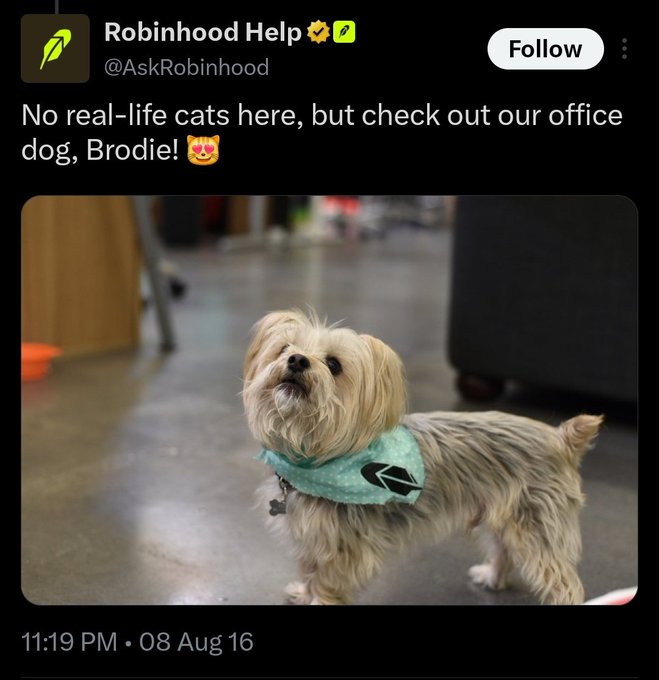 A screenshot of a tweet from 'Robinhood Help' (@AskRobinhood) saying 'No real-life cats here, but check out our office dog, Brodie!' featuring a small dog in a teal bandana.