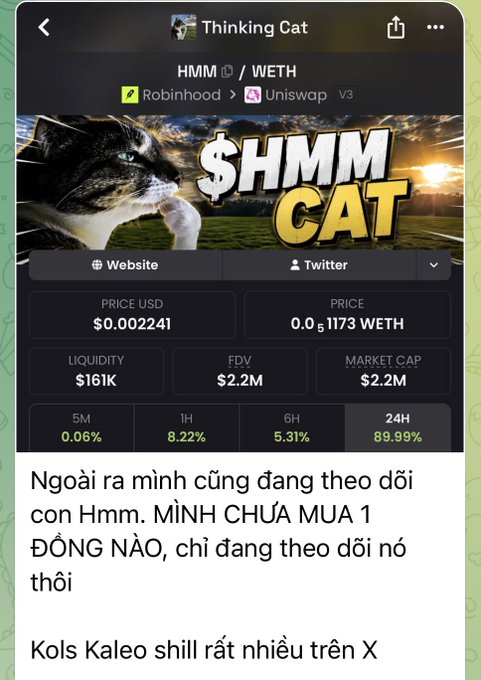 A cryptocurrency tracker page showing the HMM/WETH token "Thinking Cat" (also styled $HMM CAT) with a cat on a field background, displaying metrics like price $0.002241, liquidity $161K, FDV $2.2M, and 24H change of 89.99%, along with Vietnamese text noting the user is only watching HMM and that KOL Kaleo shills it heavily on X.