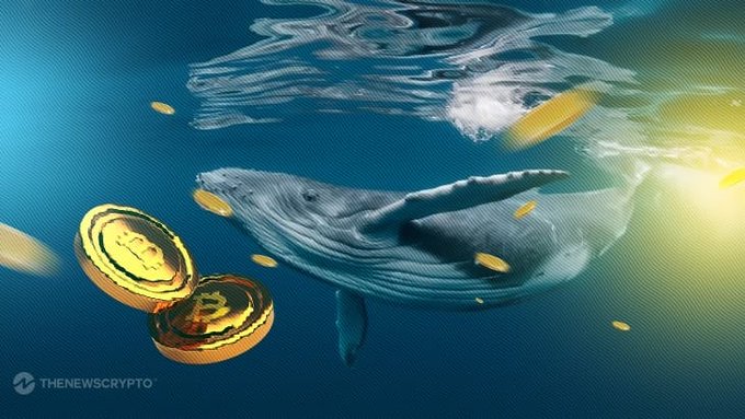 A digital illustration of a blue whale swimming underwater, surrounded by falling gold Bitcoin coins, with the watermark 'THENEWSCRYPTO'.