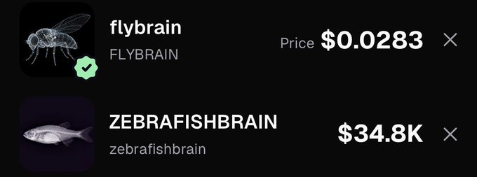 A digital asset listing shows 'flybrain' (FLYBRAIN) priced at $0.0283 above 'ZEBRAFISHBRAIN' (zebrafishbrain) priced at $34.8K.