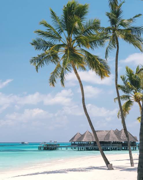 Tall palm trees lean over a pristine white-sand beach with turquoise water, where thatched-roof overwater bungalows sit on stilts above the lagoon—a quintessential Maldives scene fitting the caption's dream of escaping to a tropical paradise after striking it rich in crypto.