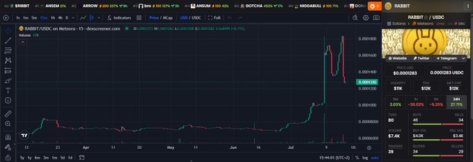 A TradingView chart of RABBIT/USDC on Raydium DEX (15-minute timeframe) showing the token's price spike to 0.00001263 USDC, with the right panel displaying RABBIT's $12K market cap, $11K liquidity, 2.01% 5-minute price change, and social links to WhiteBit, Twitter, and Telegram—directly supporting the post's incredulous reaction to the low market cap valuation.