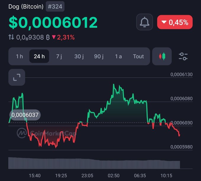 A CoinMarketCap chart shows Dog (Bitcoin) ticker DOG₿ at $0.00006012, down 2.31% over 24 hours, with price action ranging roughly between $0.00005980 and $0.00006130 — illustrating the volatile, low-value micro-cap crypto asset referenced in the post asking "who hold $DOG?"