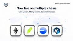 A promotional graphic for #BitlayerTestnetNodes stating 'Now live on multiple chains' with the tagline 'One vision. Many chains. Greater impact.'