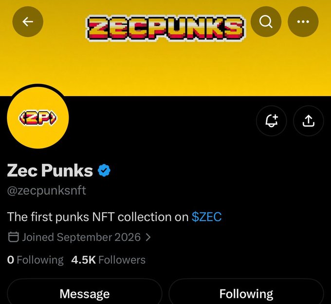 A Twitter/X profile page for 'Zec Punks' (@zecpunksnft) with the description 'The first punks NFT collection on $ZEC', 4.5K followers, and a 'ZP' logo.