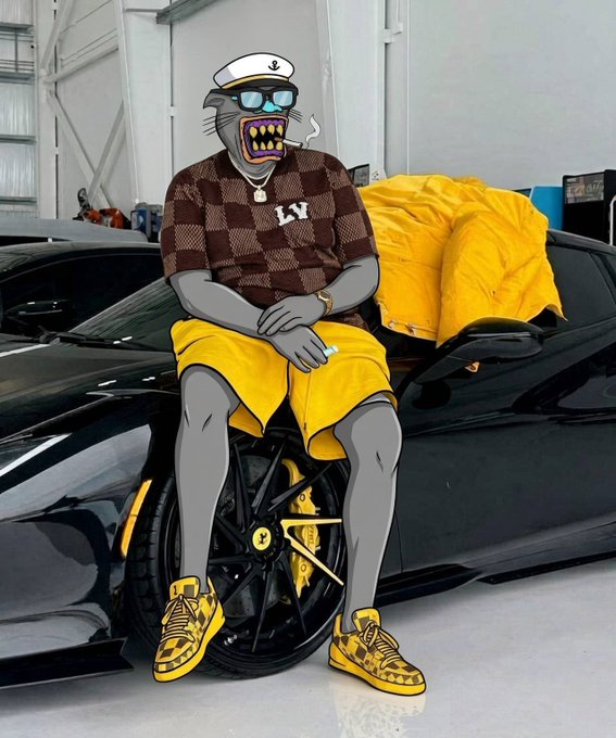 An animated character with a gray cat-like face, gold teeth, and sunglasses sits on the wheel of a black sports car, wearing a checkered brown shirt, yellow shorts, and matching yellow and black sneakers, holding a cigarette.
