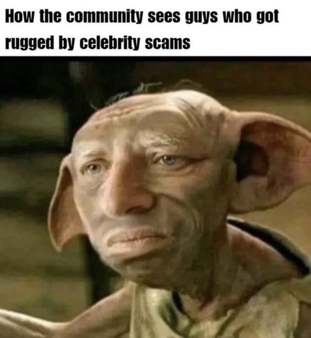 A meme featuring Dobby the House Elf with the caption 'How the community sees guys who got rugged by celebrity scams'.