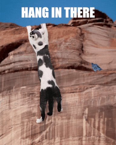 None