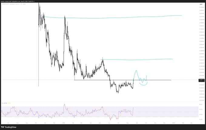A TradingView chart of PEPEUSDT on Coinbase shows the price trending downward toward a key horizontal support level near $0.0000093, with an RSI indicator at the bottom suggesting oversold conditions and a potential bullish reversal setup matching the post's mention of waiting for a "flip" trigger.