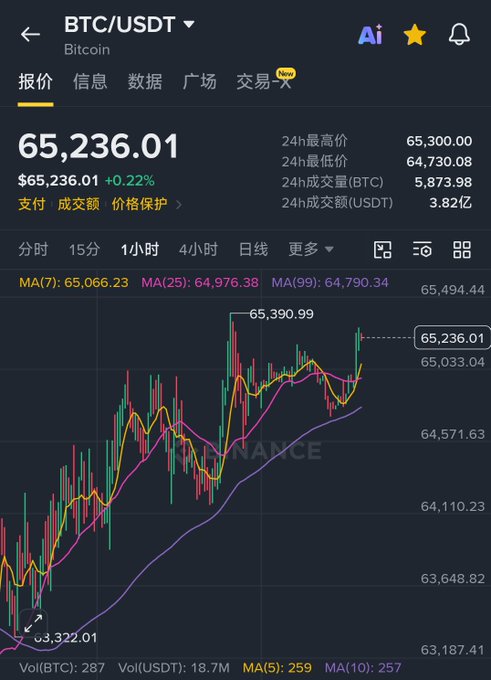 Screenshot of a BTC/USDT (Bitcoin) trading chart on a cryptocurrency exchange app showing a price of $65,236.01 with a +0.22% increase, displaying 24h high/low data and a 1-hour candlestick chart with moving averages.