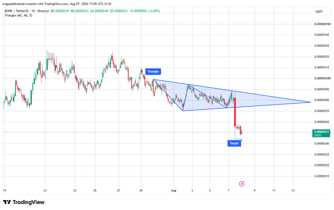 A TradingView 1H chart of BONK/USDT on Binance shows a symmetrical triangle pattern that broke downward on August 7, 2026, with the price at 0.00000249 confirming bearish continuation toward the measured move target near 0.00000050. The candlestick structure illustrates the failed breakout attempt higher and the subsequent sharp sell-off that fulfilled the downside objective projected from the triangle's apex.