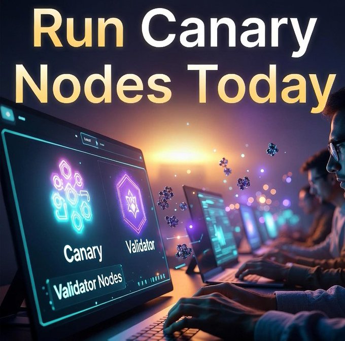 The image shows a group of people working at their computers, with one person's monitor displaying a message about run Canary nodes running today. The text "Run Canary Nodes run locally on your hardware" suggests that the user might be experiencing issues related to the node system or is considering migrating to a new node. The post emphasizes the importance of understanding and monitoring the node system for better performance, security, and efficiency in the context of cryptocurrency mining or other distributed computing tasks.