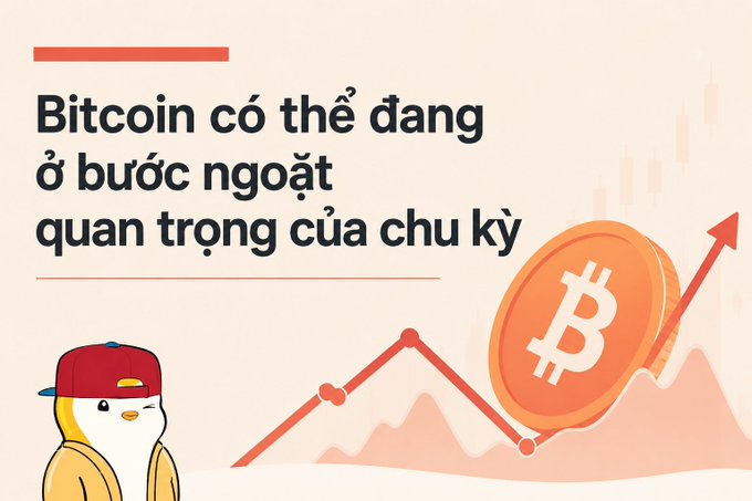 A Vietnamese-language graphic featuring a cartoon penguin in a red cap alongside a Bitcoin coin and upward-trending chart, with text reading 'Bitcoin có thể đang ở bước ngoặt quan trọng của chu kỳ' (Bitcoin may be at an important turning point of the cycle).