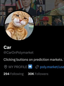 A profile page for 'Car' (@CarOnPolymarket) shows an orange tabby cat avatar, the bio 'Clicking buttons on prediction markets', a verified blue checkmark next to the profile section, with 294 Following and 30K Followers displayed.