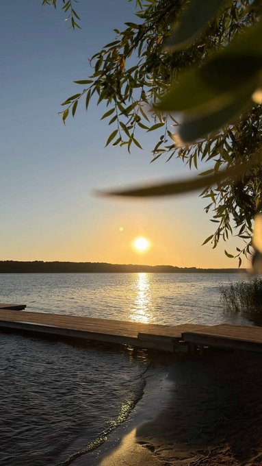 A sunset view over a calm lake with a wooden dock, framed by tree branches and leaves in the foreground.