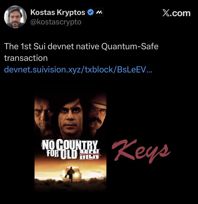 A tweet from Kostas Kryptos (@kostascrypto) announcing 'The 1st Sui devnet native Quantum-Safe transaction' with a link to devnet.suivision.xyz/txblock/BsLeEV..., accompanied by the 'No Country for Old Men' movie poster and a 'Keys' signature.