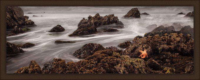 A coastal landscape photograph showing rocky outcrops with barnacles, soft flowing water, and an orange starfish in the foreground.