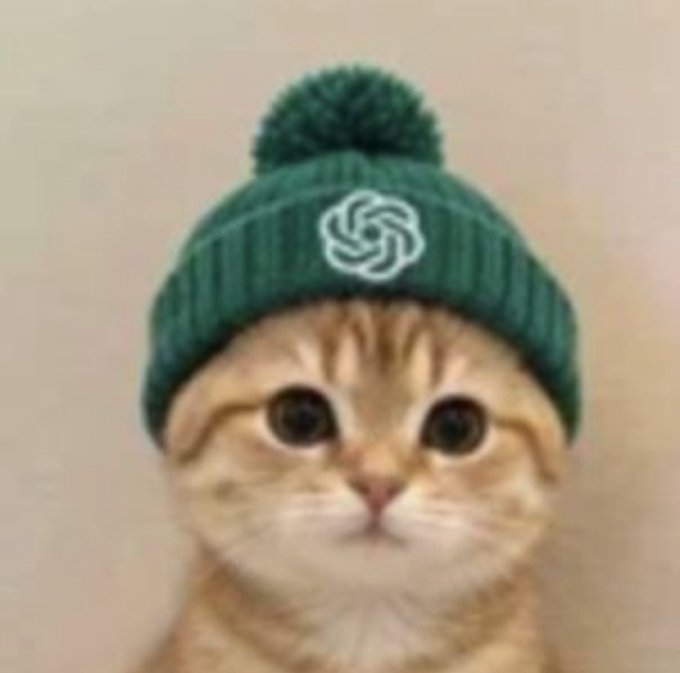 An orange tabby kitten wearing a green knit beanie with a white pinwheel-style logo on the front.