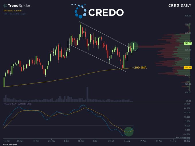 A TrendSpider daily chart for **$CRDO (Credo Technology Group)** showing a bullish breakout above a descending bull flag pattern, with price pushing past $248.77 near recent highs while holding well above the 200 EMA (~$191.62); the MACD indicator at the bottom is curling upward toward a bullish crossover, supporting the "Breaking out of the bull flag" thesis.