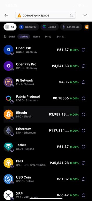 The image shows a mobile browser screenshot of openpaypro.space displaying a cryptocurrency market list with assets like OpenUSD (₱61.37), OpenPay Pro (₱4,541.53), Pi Network (₱4.85), Fabric Protocol (₱0.78556), Bitcoin (₱3,989,18...), Ethereum (₱117,834,...), Tether (₱61.37), BNB (₱35,841.28), USD Coin (₱61.37), and XRP (₱66.47), all showing 0.00% 24h change. The screenshot illustrates OpenPay Pro's multi-chain capabilities by showing its market interface with tokens spanning multiple networks including OpenPay, Solana, Ethereum, Bitcoin, BNB Smart Chain, and XRP Ledger.