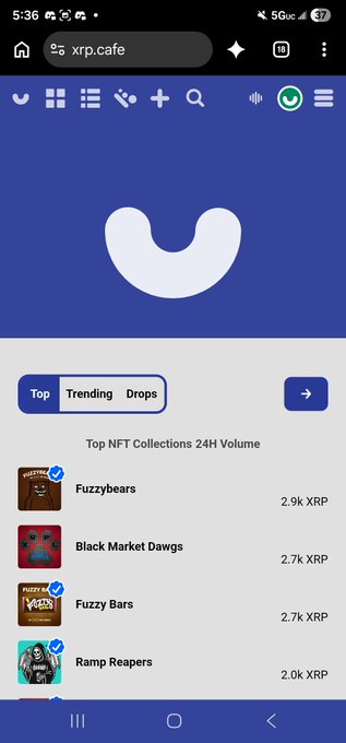 The image shows the XRP Cafe website displaying the top NFT collections by 24-hour volume, with Black Market Dawgs sitting at 2.7K XRP just behind Fuzzybears (2.9K XRP). The post celebrates that Black Market Dawgs are about to overtake Fuzzybears for the daily trending spot on XRP Cafe's leaderboard.