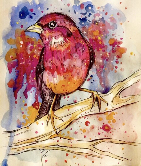 A vibrant watercolor and ink painting of a small bird with pink, red, and orange plumage perched on a branch against a colorful splattered background.