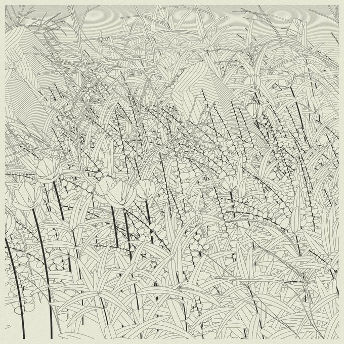 A detailed black-and-white line drawing depicting a dense field of stylized flowers, grasses, and plants with intricate crosshatching and curved lines filling the composition.