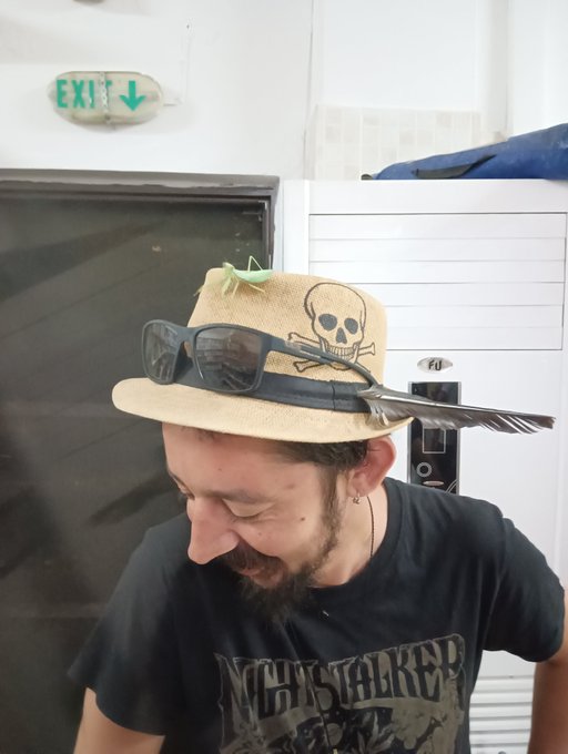 A bearded man wearing a straw hat with a skull design, sunglasses on the brim, and a small green grasshopper on top smiles while looking down.