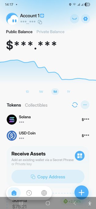 A crypto wallet app screen showing a hidden public balance, listing tokens like Solana and USD Coin, with a 'Receive Assets' option.