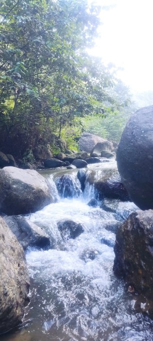 A rocky stream flows through a lush, forested area with small waterfalls cascading over large boulders.