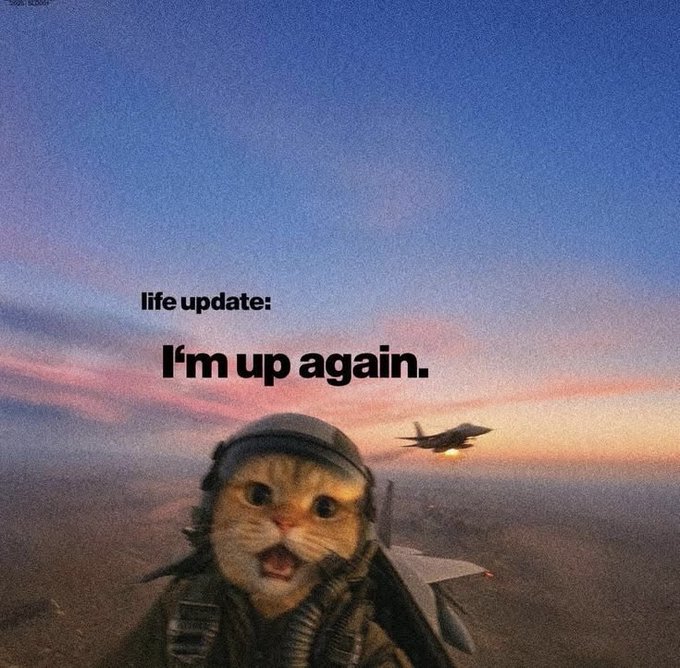 A meme featuring a cat wearing a pilot helmet with a fighter jet in the background, captioned 'life update: I'm up again.'