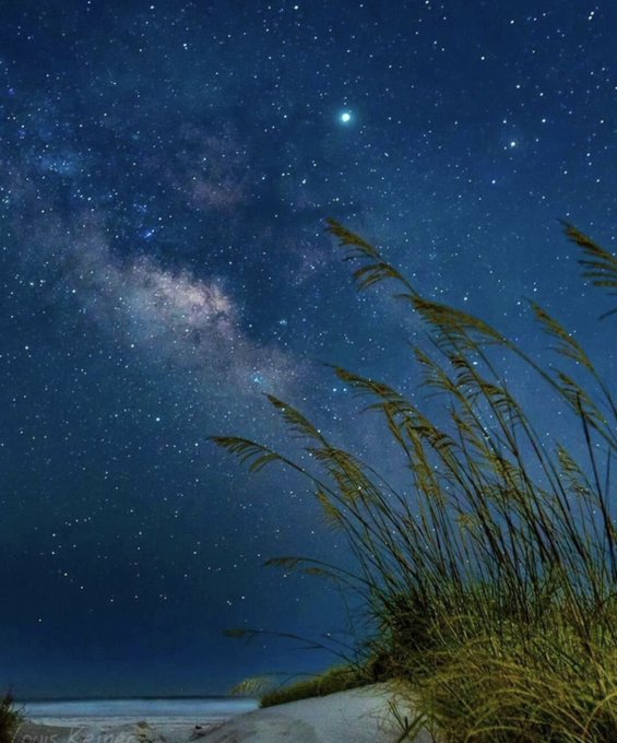 A breathtaking view of the Milky Way galaxy stretches across a starry night sky, with tall sea oats swaying in the foreground from a sandy dune. The serene, dreamlike scene of stars and cosmos evokes a sense of peaceful rest, fitting the post's lullaby-like caption "Now I lay me down." A faint watermark reading "Louis K" appears in the bottom left corner.