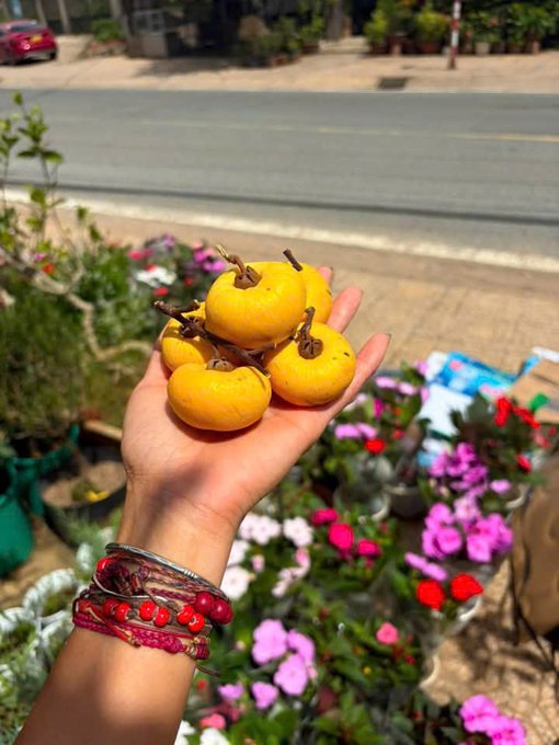 A hand wearing colorful bracelets holds a small cluster of yellow persimmons, with pink and red flowers and a street visible in the background.