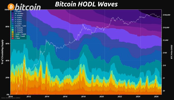A stacked area chart titled "Bitcoin HODL Waves" displays the percentage of Bitcoin's circulating supply segmented by age of holdings (from "1 hour" to ">10 years") from 2010 to 2026, with a price line overlay showing BTC values ranging from $0 to $100,000. The chart illustrates how long-term holders (purple/blue bands) dominate the supply, growing substantially over time, while the post's hashtags and tags (#Bitcoin, $BTC, #HODLWaves) contextualize the visualization as a tool for tracking holder age distribution across market cycles.