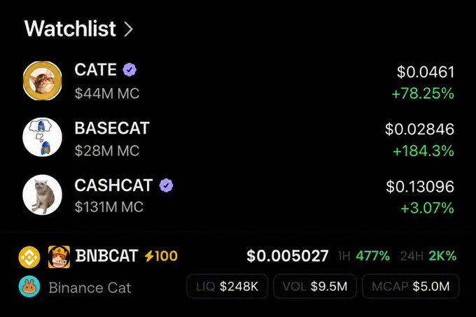 A crypto watchlist showing CATE ($0.0461, +78.25%), BASECAT ($0.02846, +184.3%), CASHCAT ($0.13096, +3.07%), and BNBCAT ($0.005027, +477%) with their market caps.