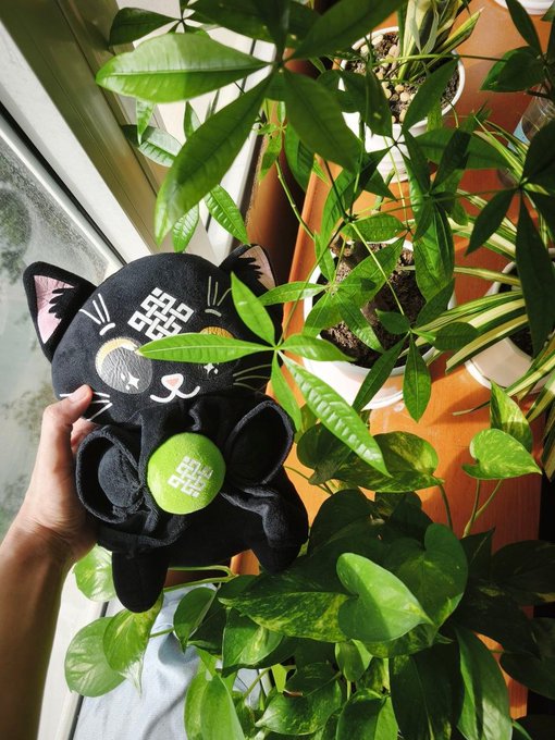 A hand holds a black cat plushie with a yellow geometric face design and a green tennis ball, positioned among leafy green houseplants near a window.