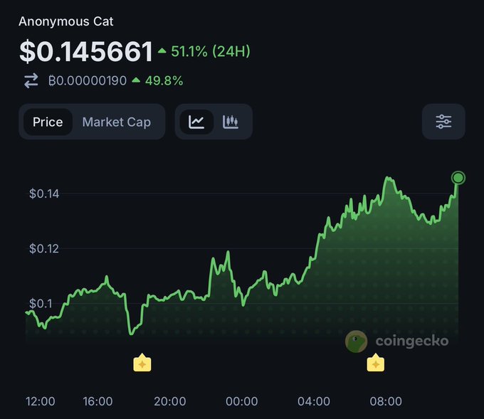 A CoinGecko chart shows "Anonymous Cat" ($ZCAT) trading at $0.145661, up 51.1% in 24 hours, with the price climbing sharply from around $0.10 to over $0.14. The image illustrates the post's point that $ZCAT has surged alongside $ZEC, framing the cat-themed token as a leveraged play on Zcash's recent rally.