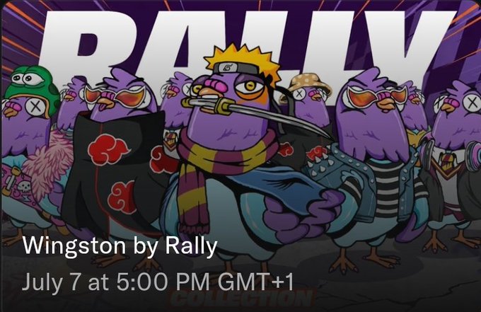 Promotional graphic for "Wingston by Rally" with a release date of July 7 at 5:00 PM GMT+1, featuring anime-style purple pigeons dressed in Akatsuki cloaks with one wielding a sword, matching the post's announcement of a 3,000 supply free mint launching on OpenSea with whitelist perks.