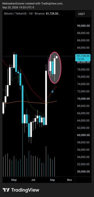 A TradingView weekly chart of Bitcoin/USDT (Binance) shows the cryptocurrency at $81,728, with a highlighted bullish engulfing candle formation (circled in pink) on the weekly timeframe that recently closed after a strong recovery from the ~$50,000 lows.