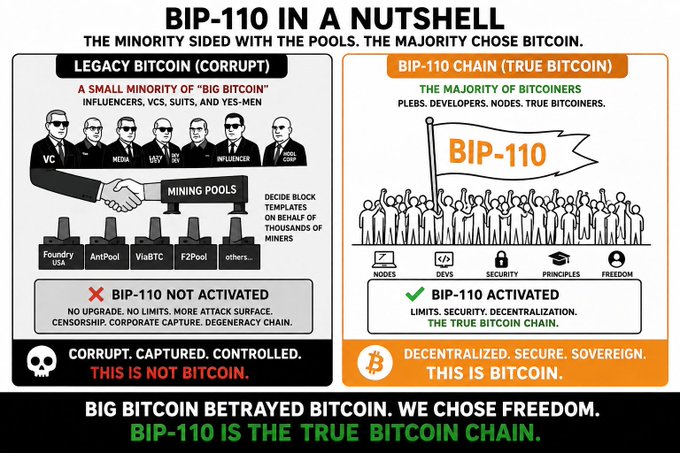 Infographic titled 'BIP-110 IN A NUTSHELL' comparing Legacy Bitcoin with the BIP-110 Chain.