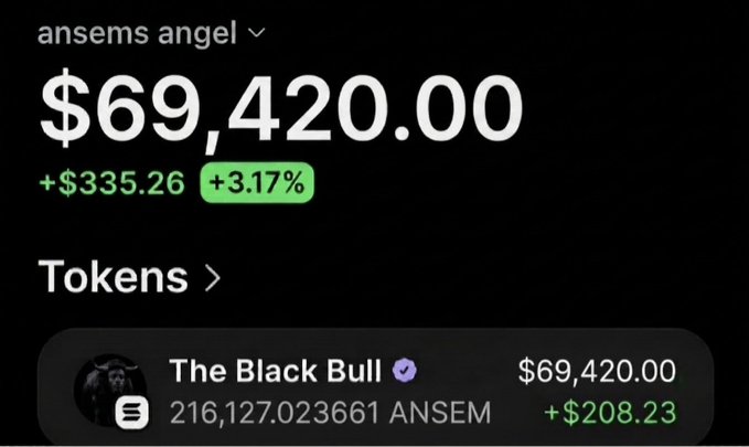 A crypto portfolio screen displays a total balance of $69,420.00 (up $335.26, +3.17%) for the "ansems angel" account, holding 216,127.023661 ANSEM tokens in "The Black Bull" valued at $69,420.00 (up $208.23), playfully referencing the post's joke about an $ansem airdrop by showing a hefty existing ANSEM holding.