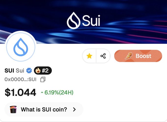 A cryptocurrency page for Sui (SUI) showing a price of $1.044 with a 6.19% increase over 24 hours, ranked #2, alongside a Boost button.