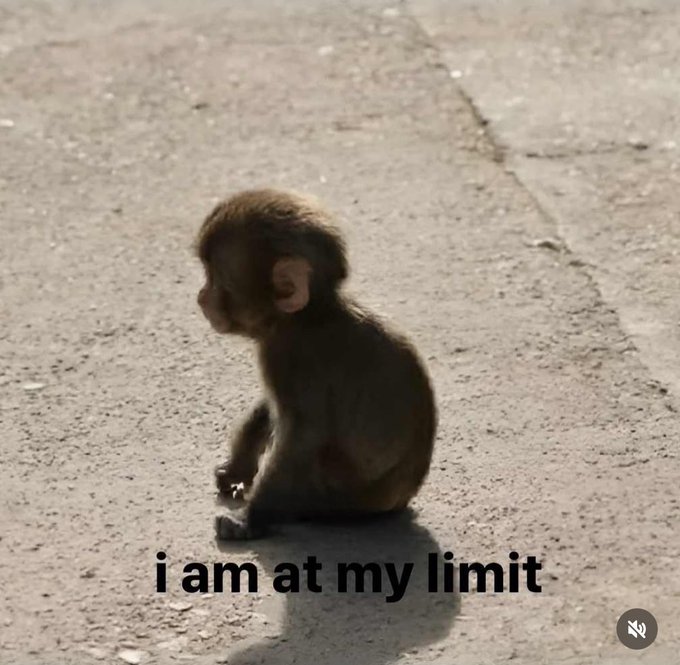 A small, sad monkey sitting alone on pavement with the caption "i am at my limit", appearing as a relatable meme with a muted audio icon.