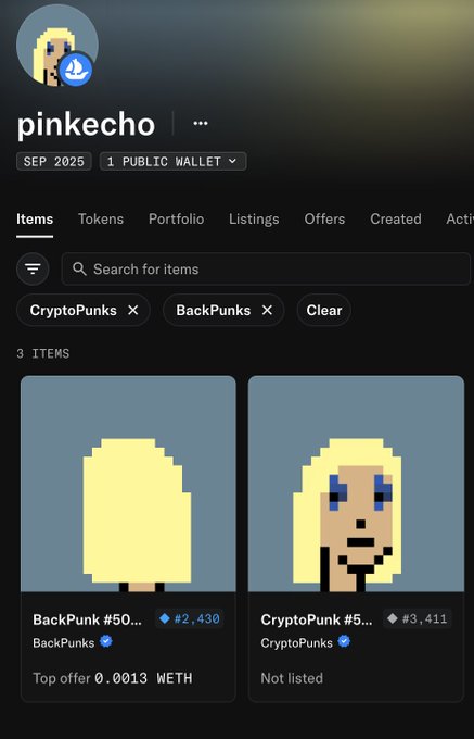 A screenshot of a digital wallet profile for 'pinkecho' displaying a BackPunk and CryptoPunk NFT with a top offer of 0.0013 WETH.