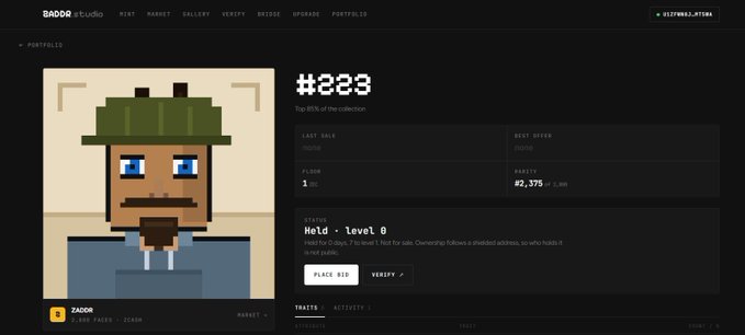 A SADDOR Studio NFT marketplace page displaying pixel art #8223, a character wearing a green hat, listed for floor 2Ξ with last sale of 0Ξ70 and rank #2,375 of 2,963.
