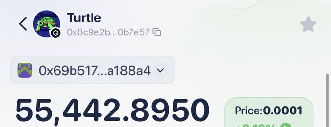 A cryptocurrency token tracker screen showing a token named 'Turtle' with contract address 0x8c9e2b...0b7e57 and a balance of 55,442.8950 tokens.