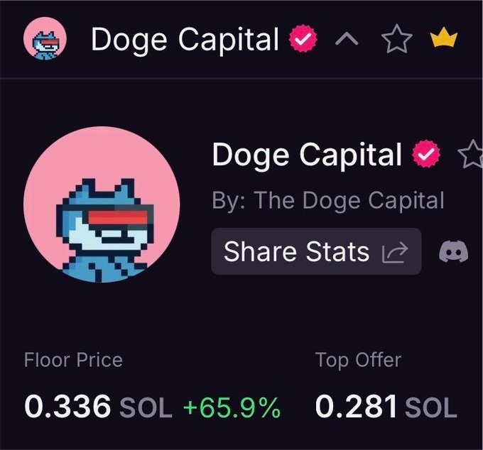 A crypto/NFT profile page for 'Doge Capital' showing a Floor Price of 0.336 SOL (+65.9%) and Top Offer of 0.281 SOL.