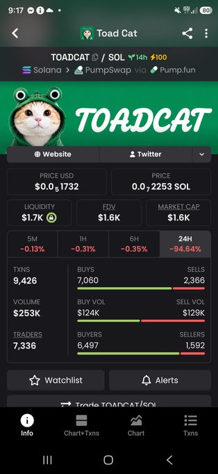 A cryptocurrency tracking app screenshot showing 'TOADCAT' token data, with a price of '$0.0₅1732' and a '24H' change of '-94.64%'.